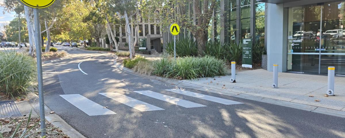a pedestrian (zebra) crossing on a sun-dappled street leading to a building with a sign saying Council Chamber