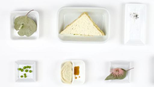 Image of 6 white ceramic platters containing various objects arranged in a rectangular formation on a white background. The top left plate contains a real leaf with a moth. The other platters have plastic sculptures on them, including peas, half a sandwich, a bird poop splatter, a dumpling with soy sauce and a pink flower.