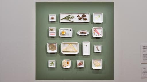 A variety of small white dishes are arranged on a green wall. The dishes contain a variety of objects, including food, plants and insects.