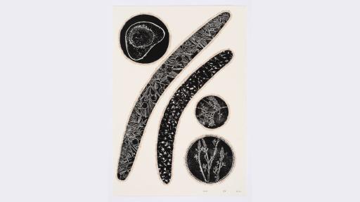 A black and white linocut print depicting a variety of Australian flora.