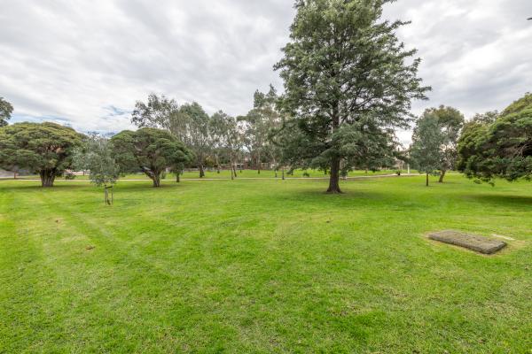 Grass area with tall leafy tree in the centre and scattered smaller trees. There is a small rectangular patch of turf tio the near right and a walking path in the distance.