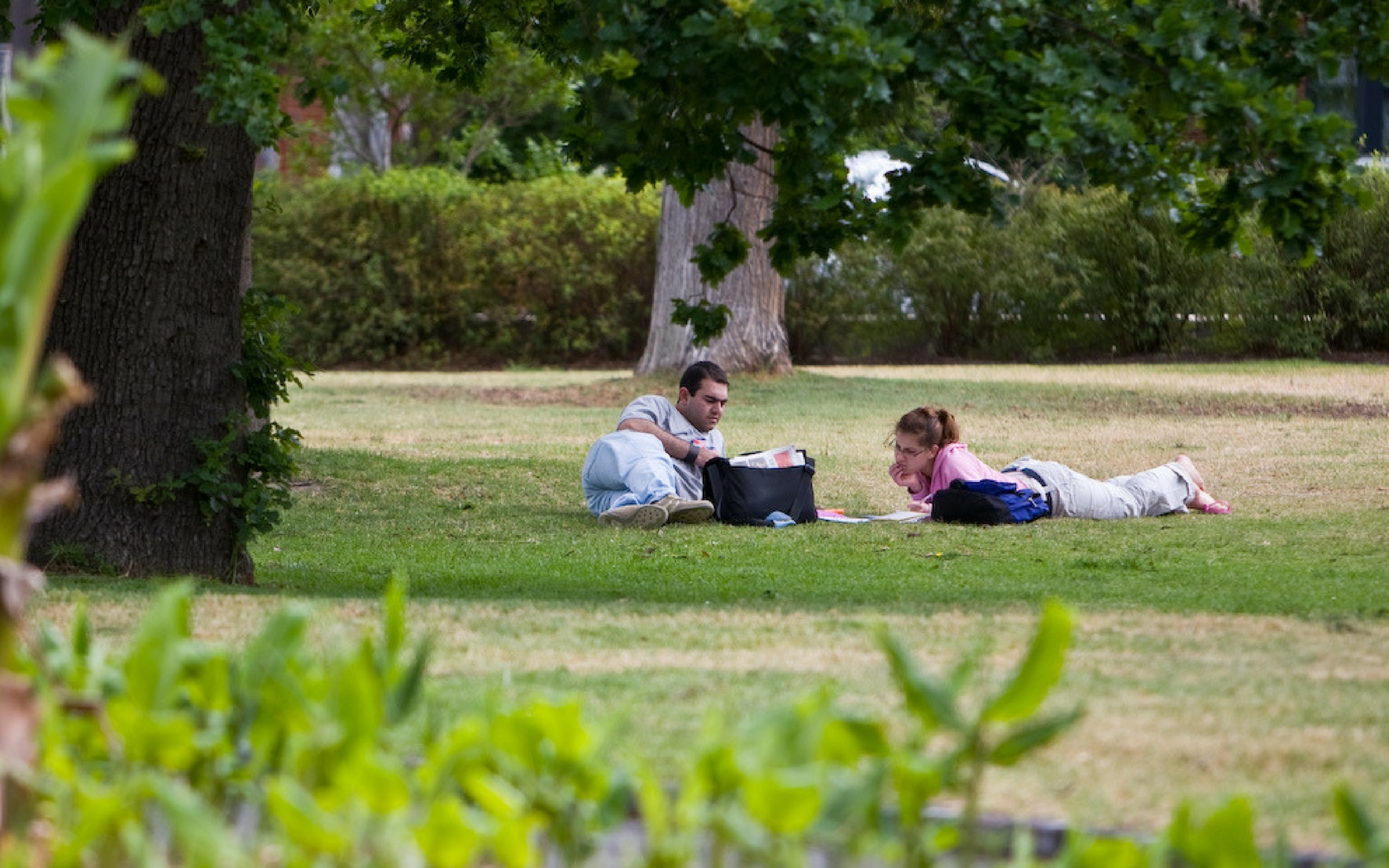 Maranoa Gardens