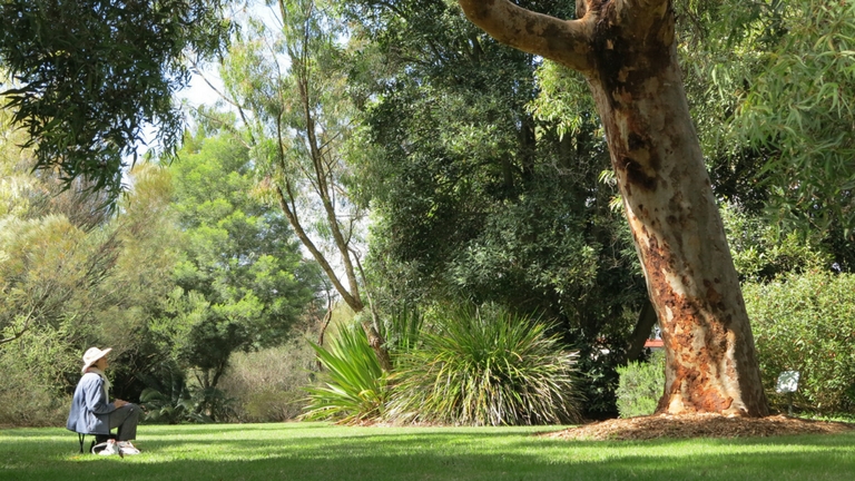 Alexandra Gardens