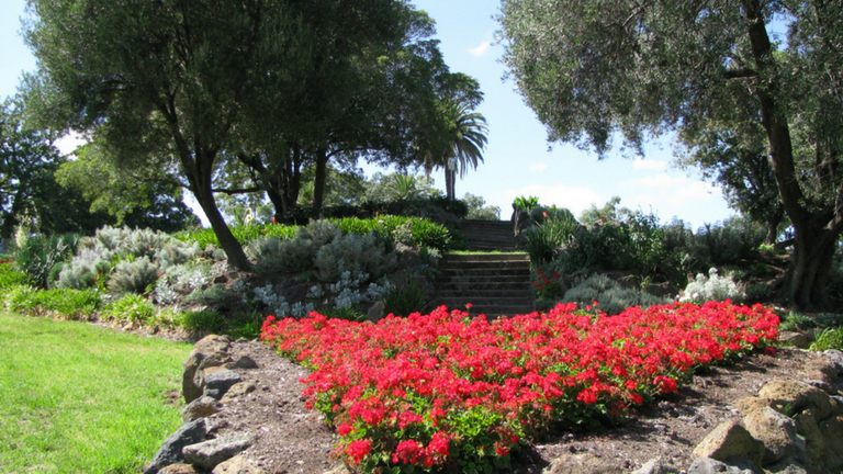 Creswick Reserve 