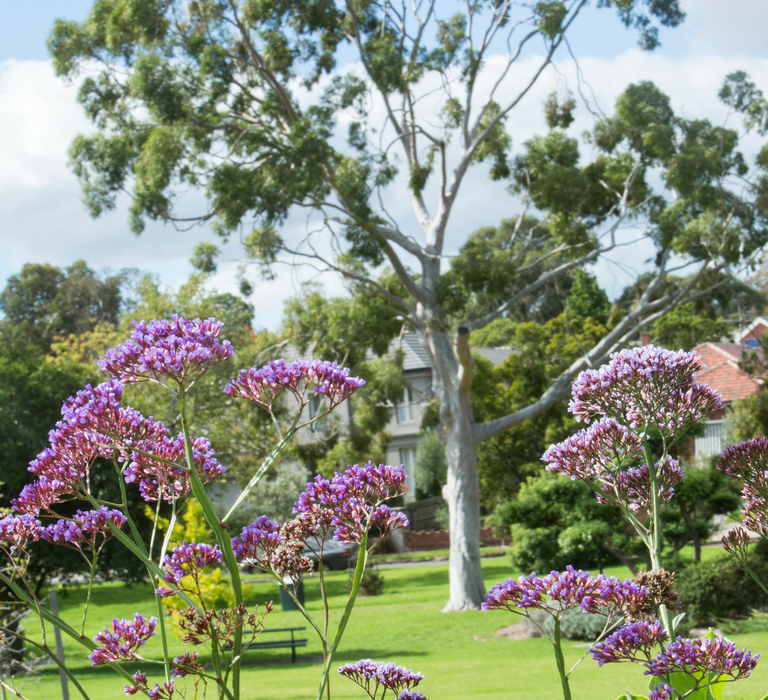 Fordham Gardens