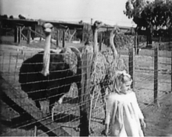 Bird exhibit at Greythorn Park