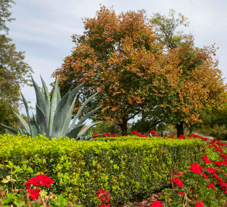 Canterbury Gardens