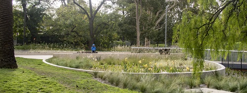 Grace Park raingarden