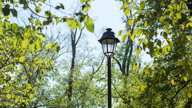St James Park