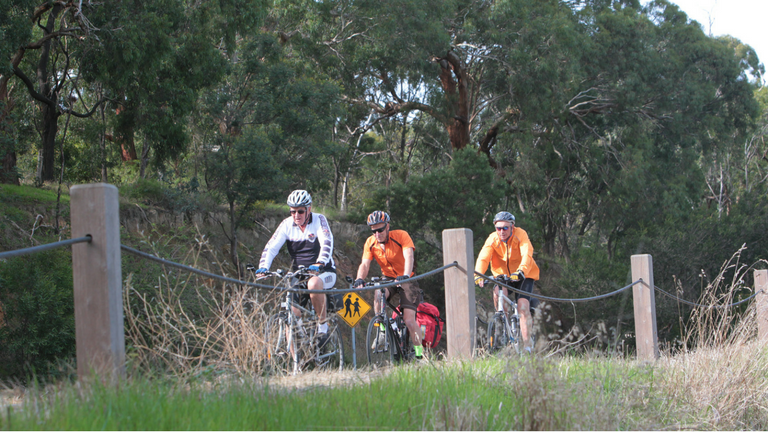 Yarra Bend cyclists