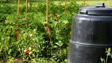 Compost bin