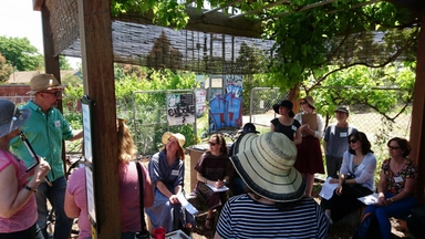 Members of the Community Garden Working Group discussing their vision for the Earl Street Community Garden at their first meeting.