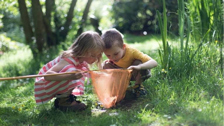Two children looking into a butterfly net