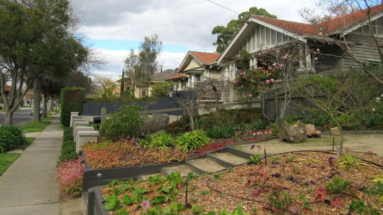 Front garden of house