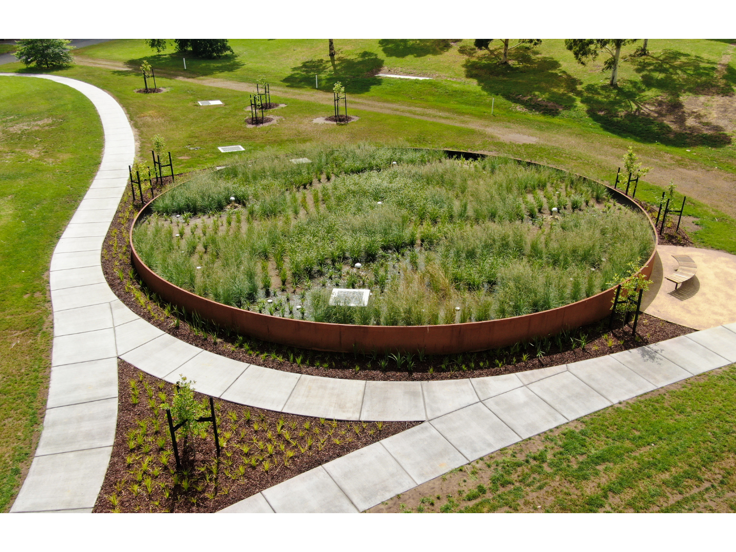 Gordon Barnard reserve raingarden