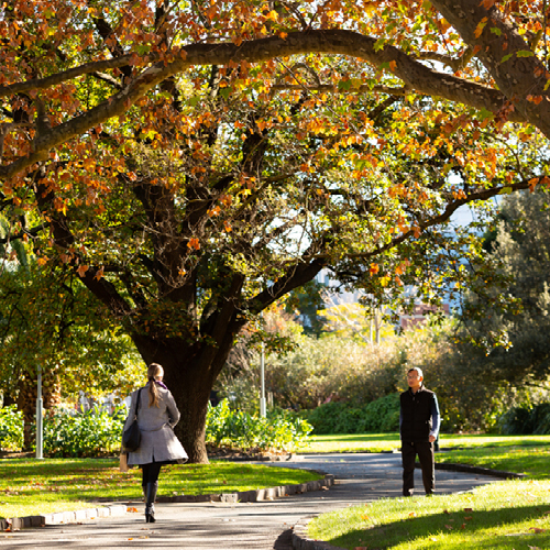 Two people walking in opposite directions along a path under trees changing colour in Autumn.
