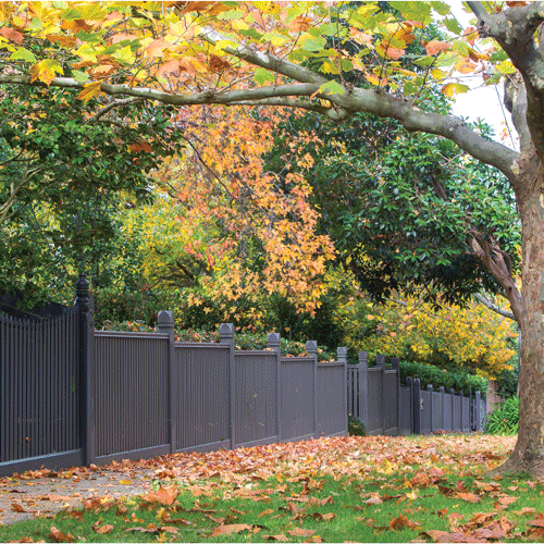 A neighbourhood street with falling autumn leaves