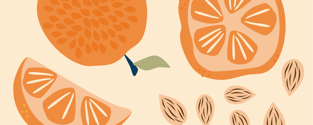 illustration of oranges and almonds