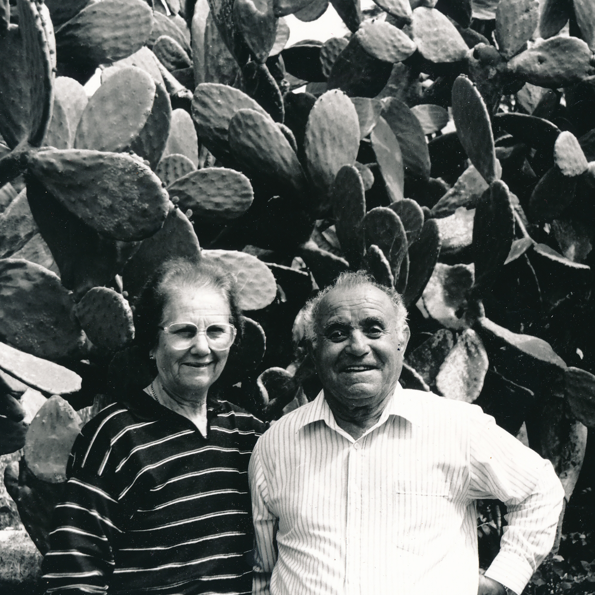 Two people standing in front of a large prickly pear