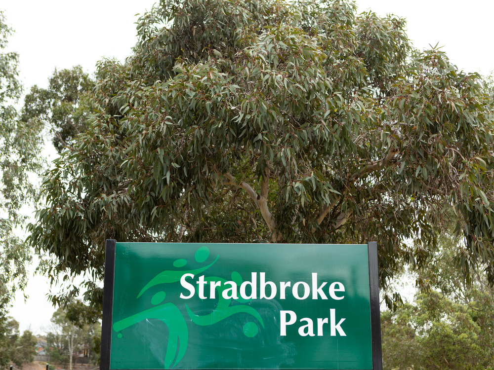 Stradbroke Park sign with a tree behind it