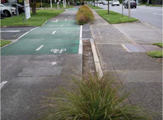 A formal path with kerbing to separate pedestrians and bike riders