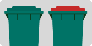 kerbside rubbish bins, one with a green lid and one with a red lid