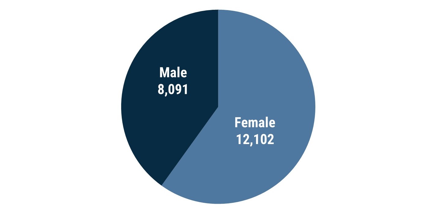 Pie chart which shows that in Boroondara 60% of carers are female, equivalent to 12,102 female residents and 8,091 male residents.