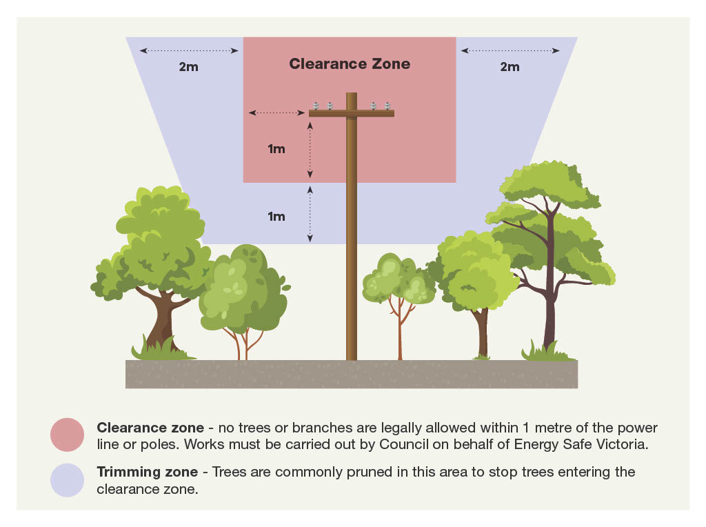 Diagram showing that trees are pruned in order to be at least one metre away from power lines or poles. 