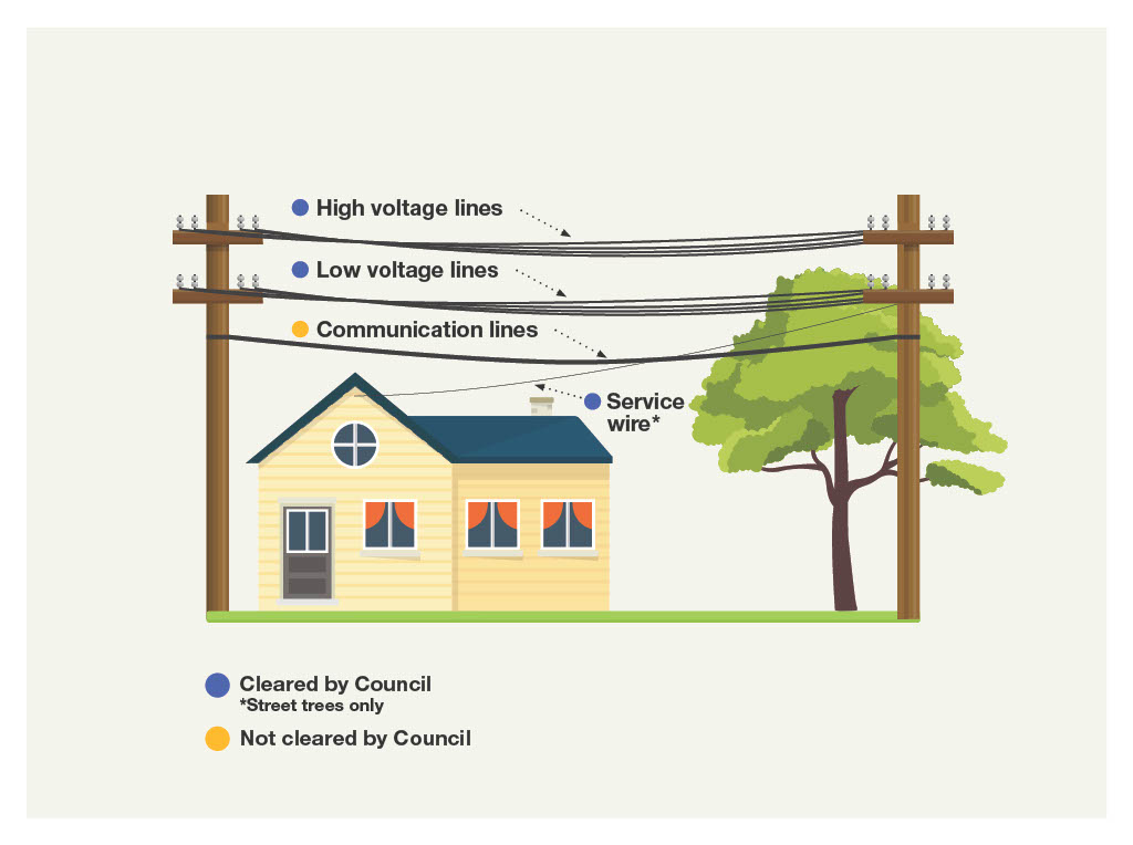 Illustration of a house with power lines suspended above it. Street trees which grow around service wires and lvoltage lines are cleared by Council, but those that grow near communication wires are not Council responsibility.