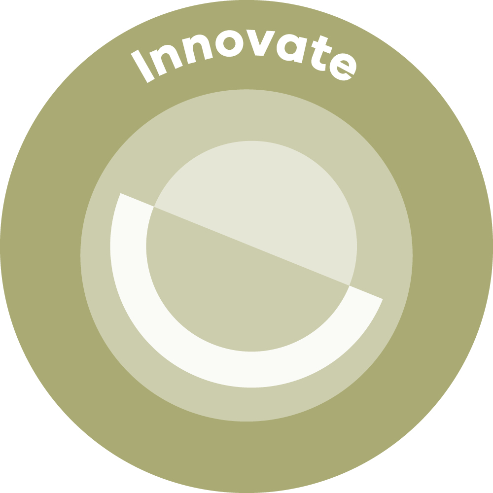 A circle made of different coloured parts with the word 'Innovate' above it