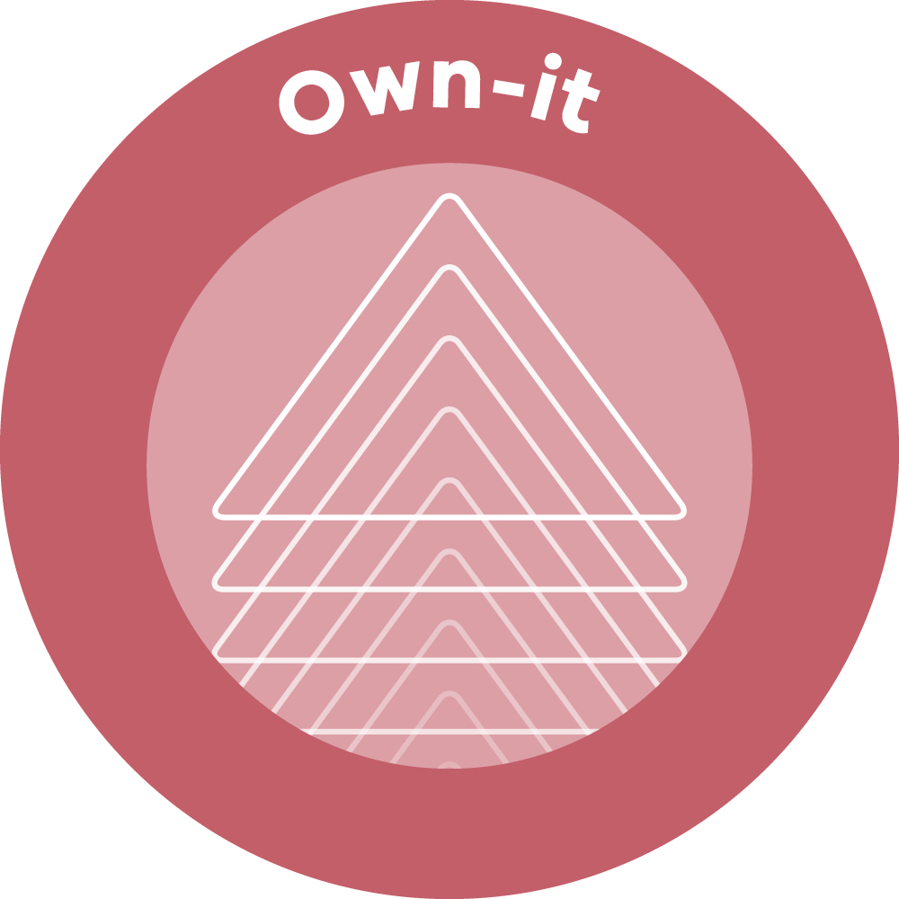 A series of overlapping triangles with the words 'Own-it' above them