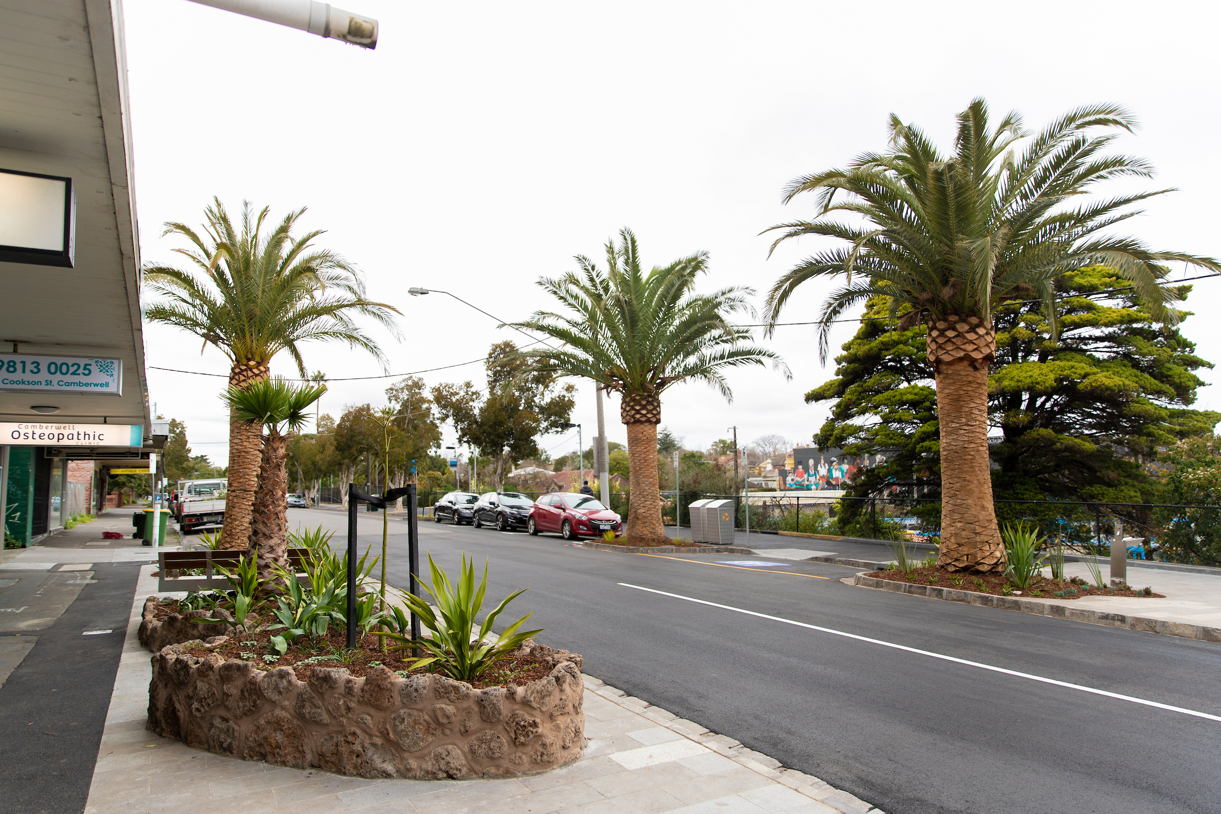Road lined with palm trees