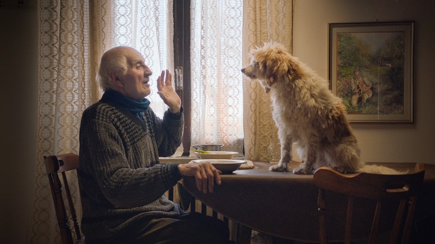 An grey haired man sits at the kitchen table with three bowls in front of him. A white dog sits on the table looking at him. He has his hand up to the  dog in a 'stop' or 'wait' gesture.