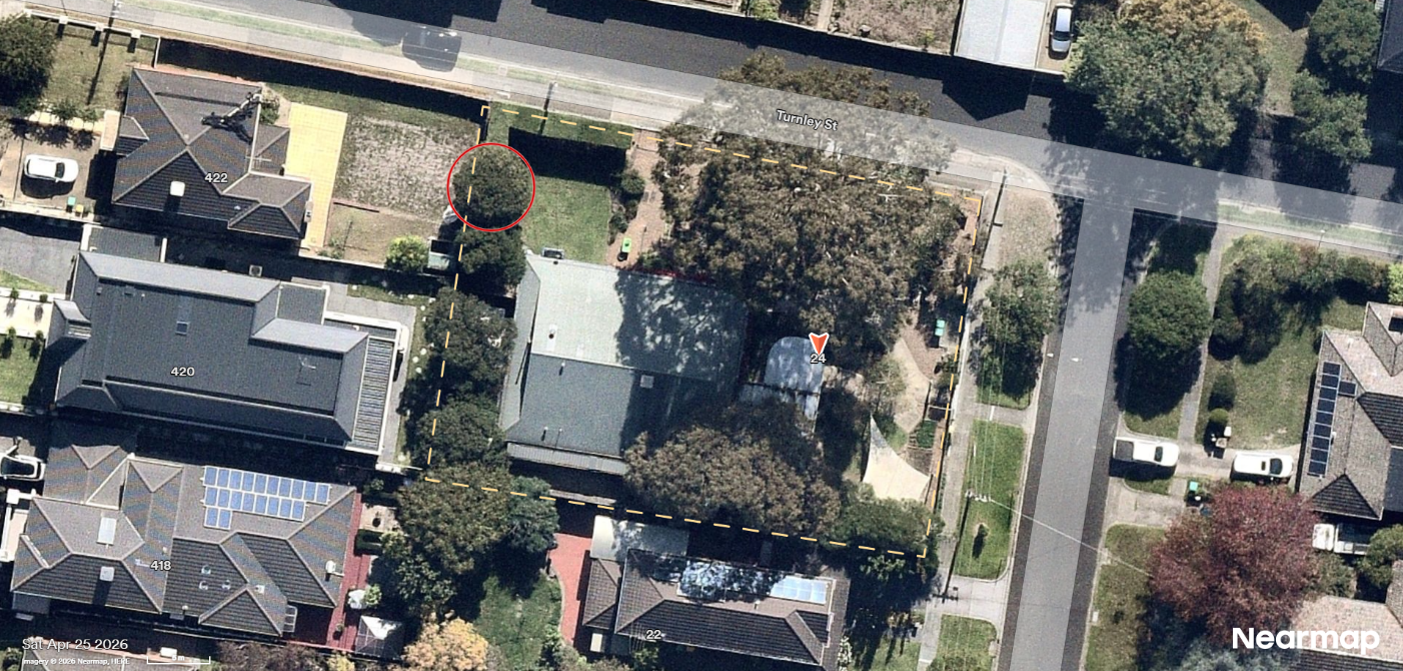 Arial view of a property with a house and lots of trees. The Boundary of the property is marked with a yellow dotted line. One tree along the boundary at the front of the property is circled in red, depicting the proposed removal.