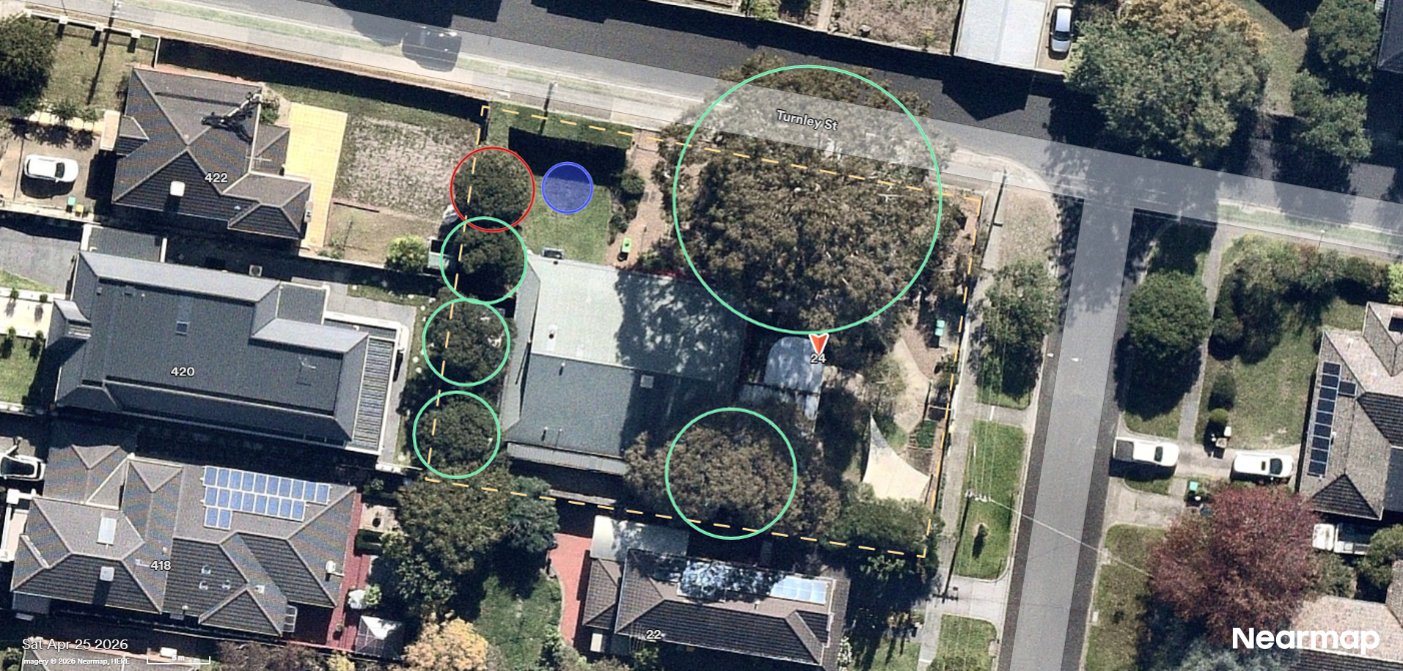 Arial view of a property with a house and lots of trees. The boundary of the property is marked with a yellow dotted line. 5 trees on the property are circled in green to be retained, one tree along the boundary at the front of the property is circled in red, depicting the proposed removal, and one blue circle where a tree is proposed to be planted.