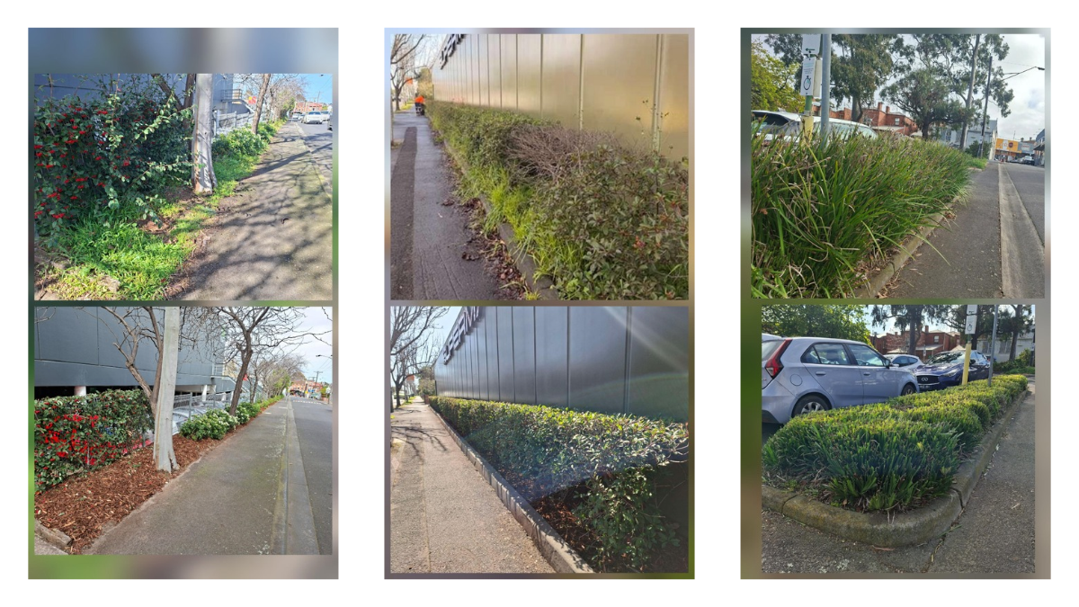 3 sets of before and after images of gardens at Kew Junction.