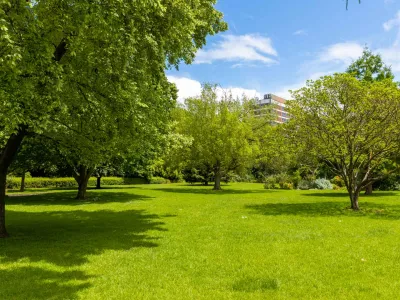 Grass area with several large scattered trees. There is a hedge to the left, a house-shaped building to the right and a multi-storey building is in the distance.