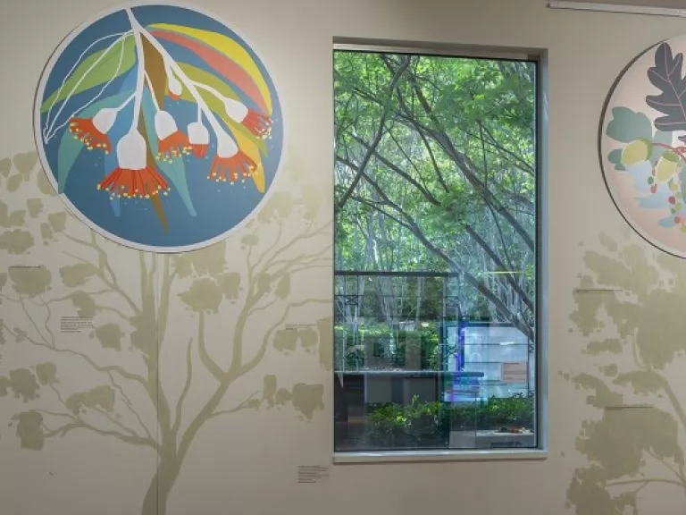 Tree silhouettes painted on walls between three windows. At the top of each tree is an artwork of the leaves and flowers of the tree.