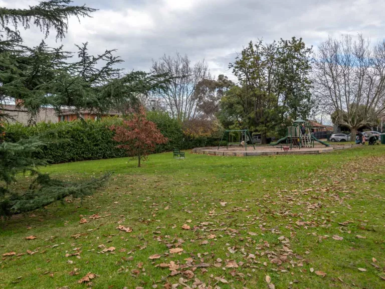 Grass area bordered by hedge to the left and walking path to the right. There are fallen leaves are on the ground and a playground and parked cars in the distance.