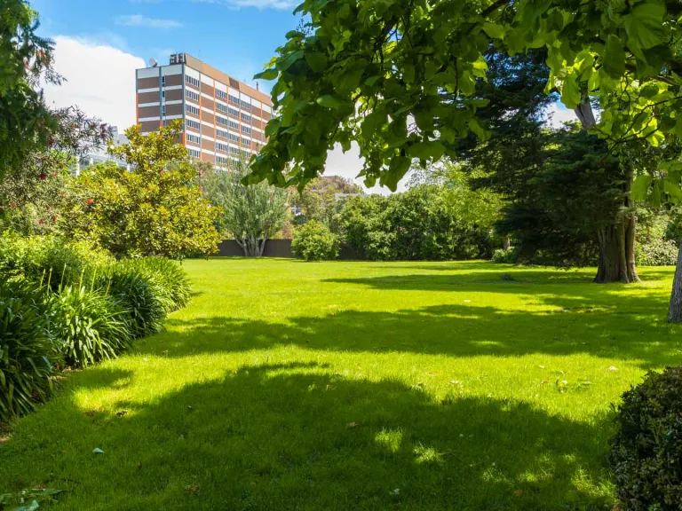 Grass area with large trees on the right and and a thick garden of plants on the left. There are shadows are on the grass and a multi-storey building in the distance.