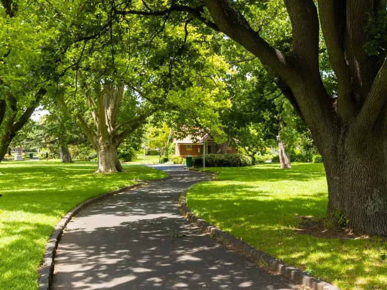 Curving concrete path with grass and large trees casting shadows on either side. There is a house-shaped building is in the distance.