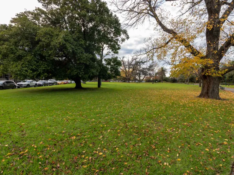 Grass area with fallen leaves and several scattered large trees. There is a curved walking path and part of a playground to the right and a line of parked cars to the left.