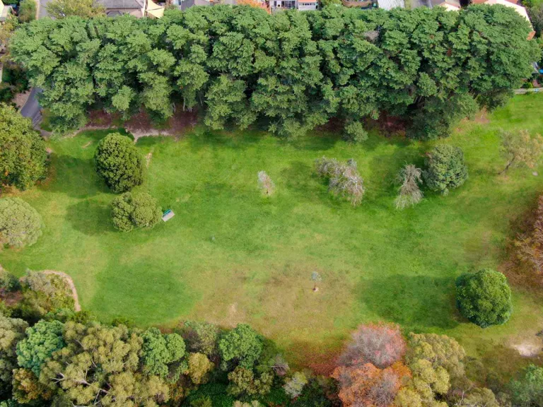 Birds eye view of a green parkland area. Trees line the top and bottom border 