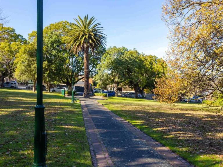 A asphalt path runs through a park. A palm tree is at the end of the path.