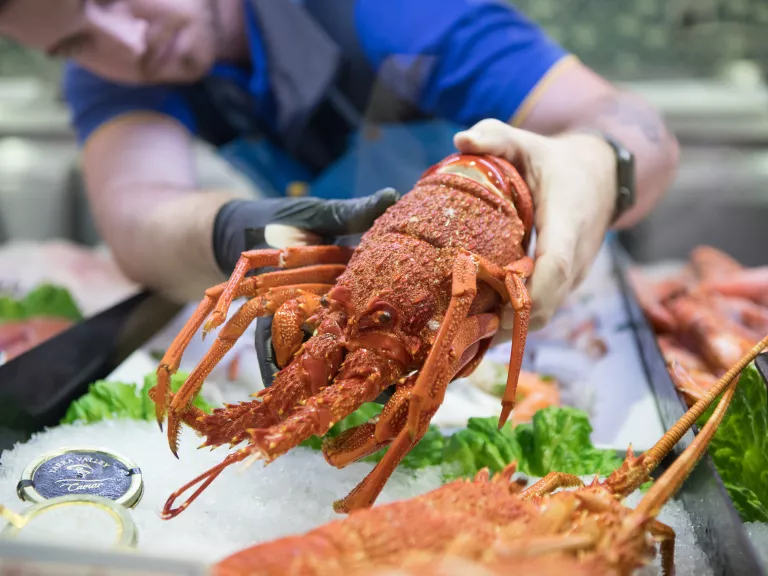 a fishmonger holding a lobster over a tray of ice