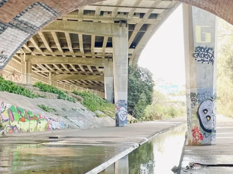 The image depicts an urban underpass with concrete pillars and brick walls covered in colorful graffiti. A narrow water channel runs through the scene, reflecting the surrounding structures. Lush greenery grows along the sloped embankments, contrasting with the industrial architecture. Sunlight filters through, casting soft light on the walkway and graffiti-covered surfaces.