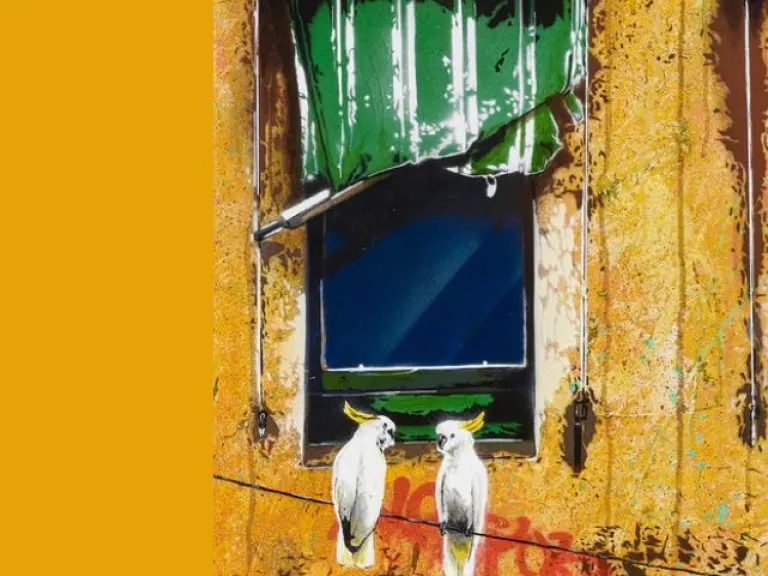 A painted image of a yellow, weathered building with two windows. The left window has a damaged green awning; the right shows a woman looking out while holding a phone. Two white cockatoos sit on a wire below the windows. The facade includes graffiti markings.