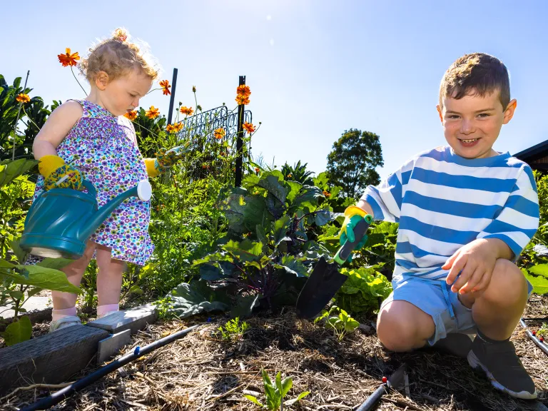 A young boy and girl are out on a sunny day, they are gardening.