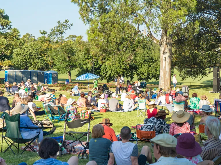 People in camp chairs sitting in a park