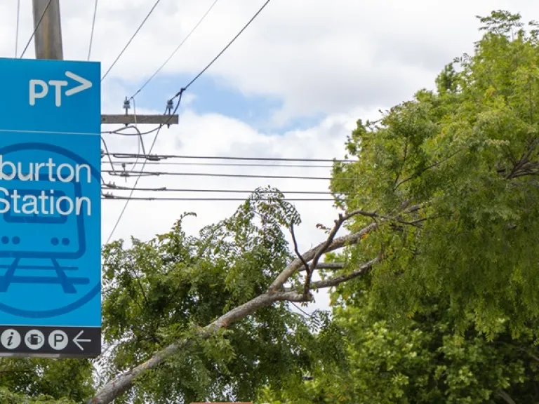 A blue sign for Ashburton station. In the background are powerlines and leafy trees.